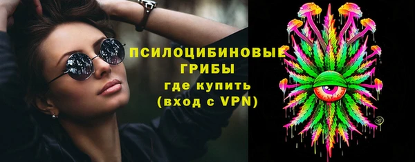крисы Горнозаводск