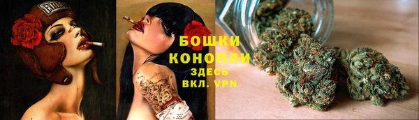 СК Горняк