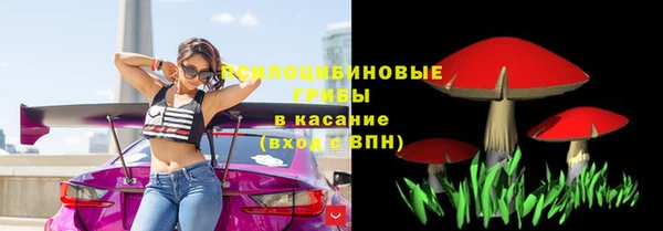 крисы Горнозаводск
