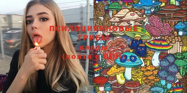 крисы Горнозаводск