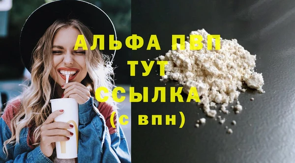 СК Горняк