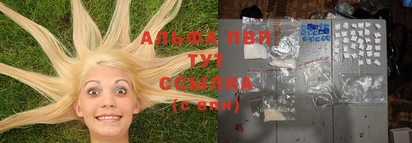 крисы Горнозаводск